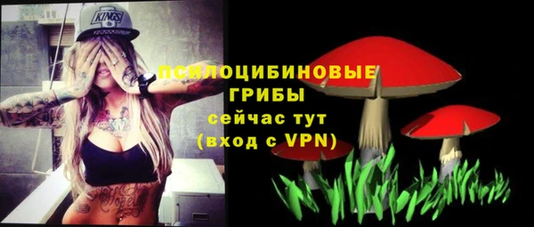 синтетический гашиш Бородино