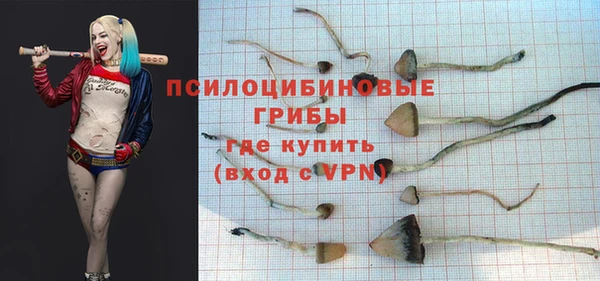 твердый Бронницы
