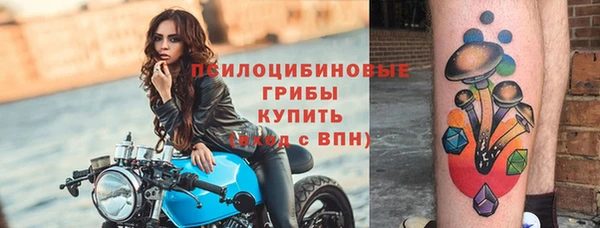 твердый Бронницы